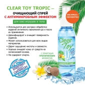 Очищающий спрей для игрушек CLEAR TOY Tropic - 100 мл. - Биоритм - купить с доставкой в Смоленске