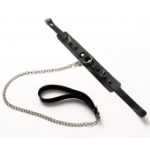 Черный ошейник с шипами и поводком - Crazy Handmade - купить с доставкой в Смоленске