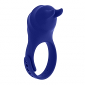 Синее эрекционное виброкольцо с клиторальной подушечкой и пультом ДУ Adjustable Fun Ring - Zero Tolerance - в Смоленске купить с доставкой