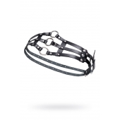 Черный кожаный пояс с кольцами - Pecado - купить с доставкой в Смоленске