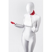 Красный ошейник с подкладкой из меха - ToyFa - купить с доставкой в Смоленске