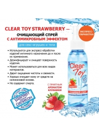 Очищающий спрей для игрушек CLEAR TOY Strawberry - 100 мл. - Биоритм - купить с доставкой в Смоленске