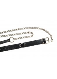 Черный ошейник с поводком Wild - Lola Games - купить с доставкой в Смоленске