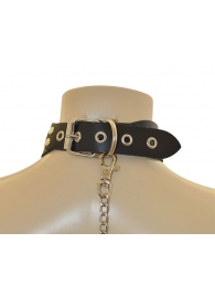 Ошейник  Веселый Роджер - Sitabella - купить с доставкой в Смоленске