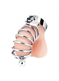 Серебристая клетка для члена Urethral Play Cage - BlueLine - купить с доставкой в Смоленске