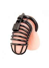 Черная металлическая клетка с замком Deluxe Chastity Cage - BlueLine - купить с доставкой в Смоленске