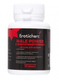 Капсулы для мужчин Erotichard male power с пантогематогеном - 20 капсул (0,370 гр.) - Erotic Hard - купить с доставкой в Смоленске