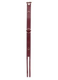 Бордовый ремень Halo Waist Belt - размер L-XL - Shots Media BV - купить с доставкой в Смоленске