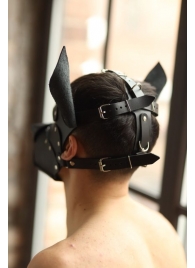 Эффектная маска собаки с металлическими заклепками - БДСМ Арсенал - купить с доставкой в Смоленске