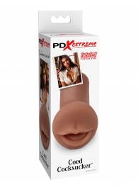 Мастурбатор-ротик Coed Cocksucker - Pipedream - в Смоленске купить с доставкой