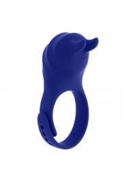 Синее эрекционное виброкольцо с клиторальной подушечкой и пультом ДУ Adjustable Fun Ring - Zero Tolerance - в Смоленске купить с доставкой