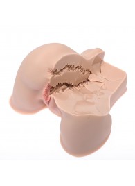 Мастурбатор-полуторс Naked Factory Kate - Naked Factory - в Смоленске купить с доставкой