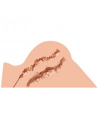 Мастурбатор-полуторс Naked Factory Hannah - Naked Factory - в Смоленске купить с доставкой