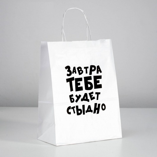 Подарочный пакет  Завтра тебе будет стыдно  - 30 х 24 см. - UPAK LAND - купить с доставкой в Смоленске