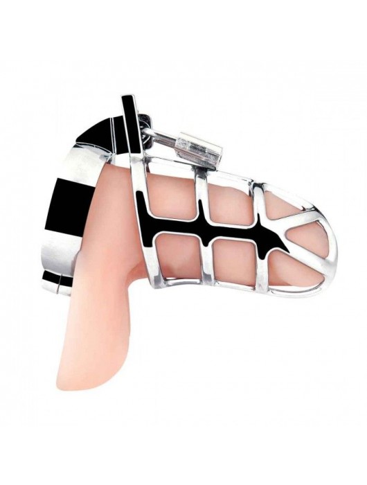 Серебристая металлическая клетка для члена с замком Enslave Cock Cage - BlueLine - купить с доставкой в Смоленске