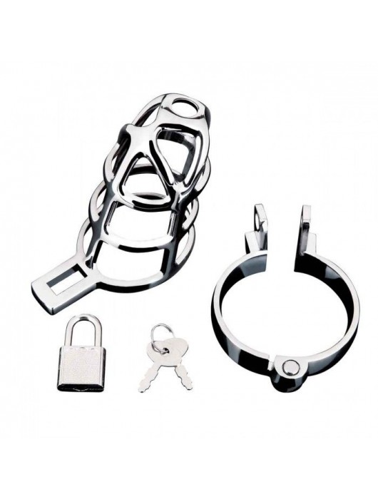 Серебристая металлическая клетка для члена с замком Enslave Cock Cage - BlueLine - купить с доставкой в Смоленске