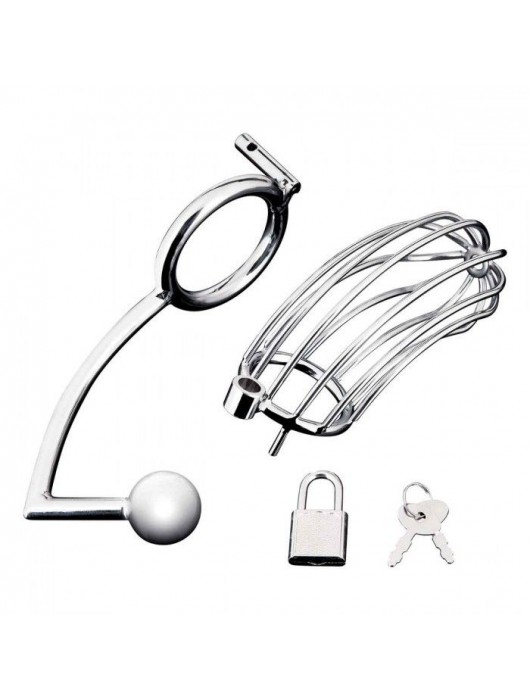 Серебристая металлическая клетка с анальным стимулятором Cock Cage - BlueLine - купить с доставкой в Смоленске