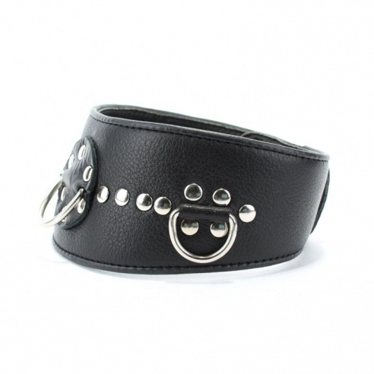 Чёрный кожаный ошейник с полукольцами и клёпками - БДСМ Арсенал - купить с доставкой в Смоленске