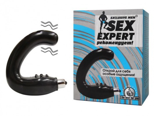 Чёрный массажёр простаты серии Sex Expert - Sex Expert - в Смоленске купить с доставкой