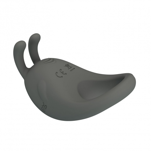 Серое эрекционное кольцо с вибрацией Master Ring - Baile - в Смоленске купить с доставкой