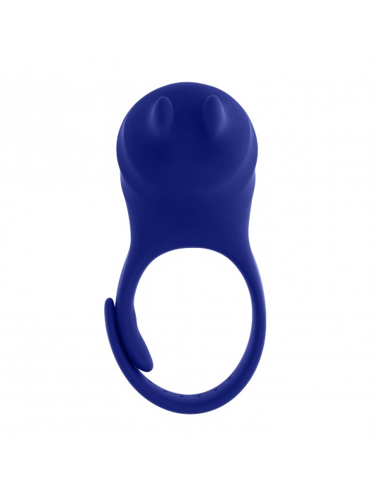 Синее эрекционное виброкольцо с клиторальной подушечкой и пультом ДУ Adjustable Fun Ring - Zero Tolerance - в Смоленске купить с доставкой