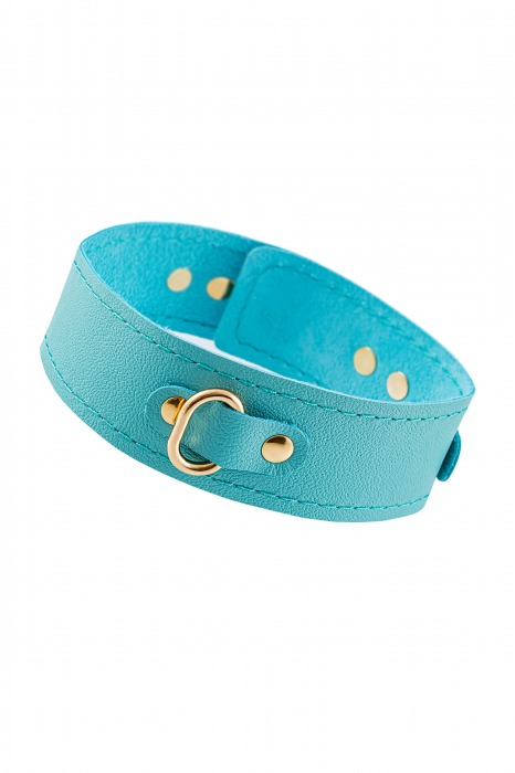 Голубой кожаный однослойный ошейник с прошивкой - Pecado - купить с доставкой в Смоленске