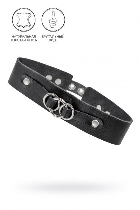 Черный чокер-ошейник со связанными кольцами на подложке - Pecado - купить с доставкой в Смоленске