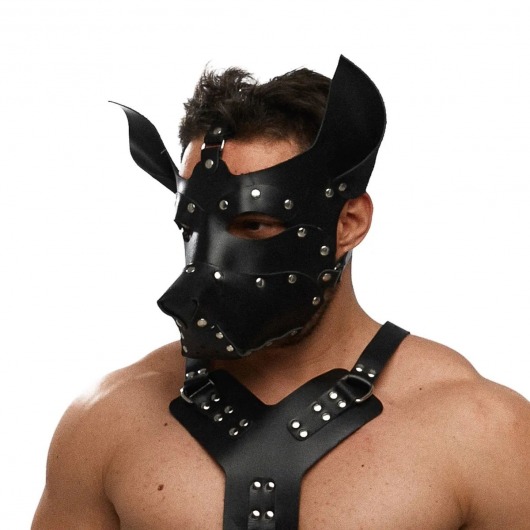 Черная кожаная маска «Собака» - Crazy Handmade - купить с доставкой в Смоленске