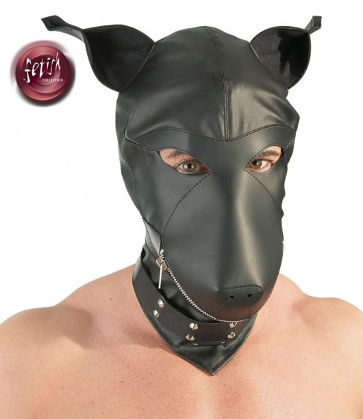 Шлем-маска Dog Mask в виде морды собаки - Orion - купить с доставкой в Смоленске