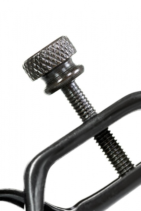 Черно-золотистые зажимы для сосков TOYFA Theatre - ToyFa - купить с доставкой в Смоленске