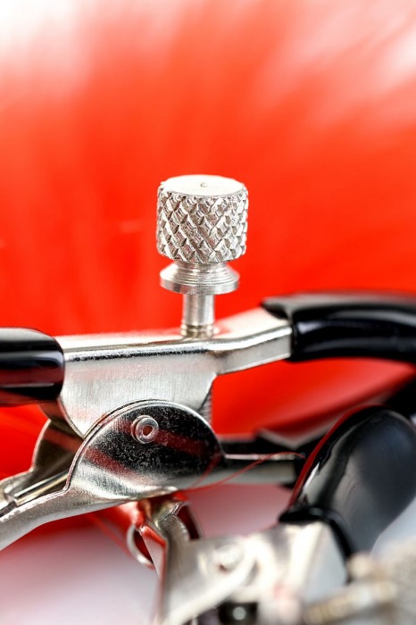 Зажимы для сосков с красным пухом Theatre - ToyFa - купить с доставкой в Смоленске