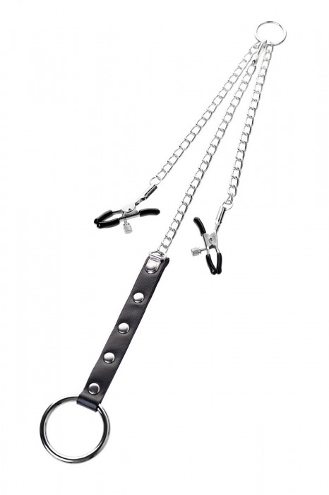 Серебристо-чёрные зажимы для сосков с кольцом для пениса TOYFA Metal - ToyFa - купить с доставкой в Смоленске